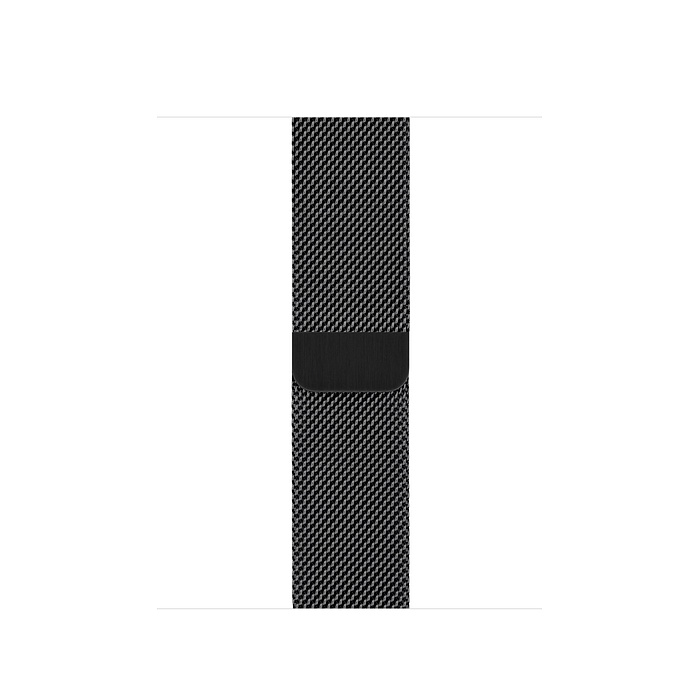 Часы Apple Watch Series 5 GPS + Cellular 40mm (MWWX2) (Space Black Stainless Steel Case with Space Black Milanese Loop)