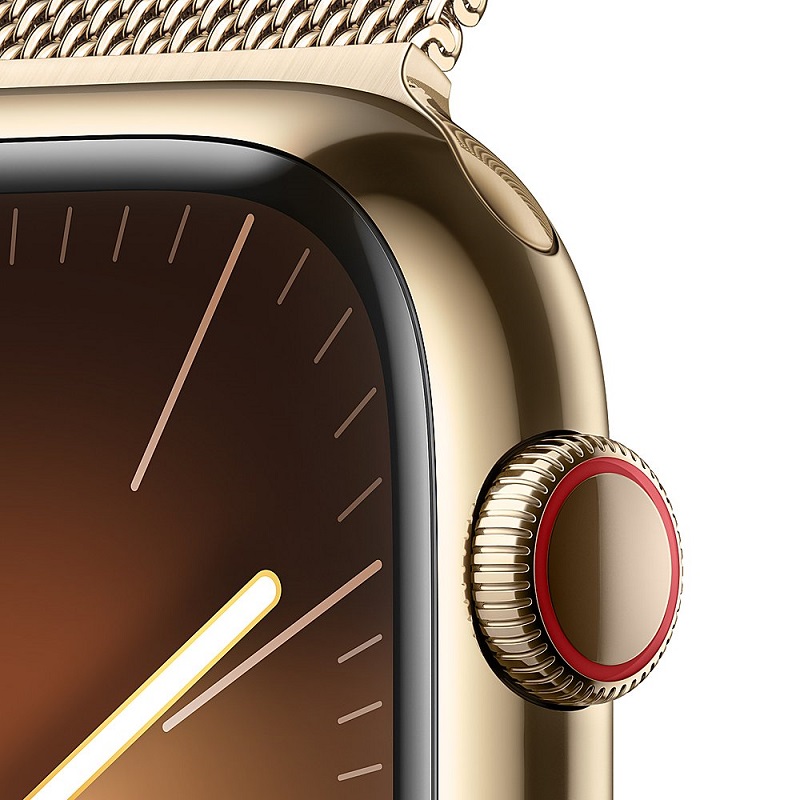 Умные часы Apple Watch Series 9 GPS + Cellular, 45mm Gold Stainless Steel Case with Gold Milanese Loop