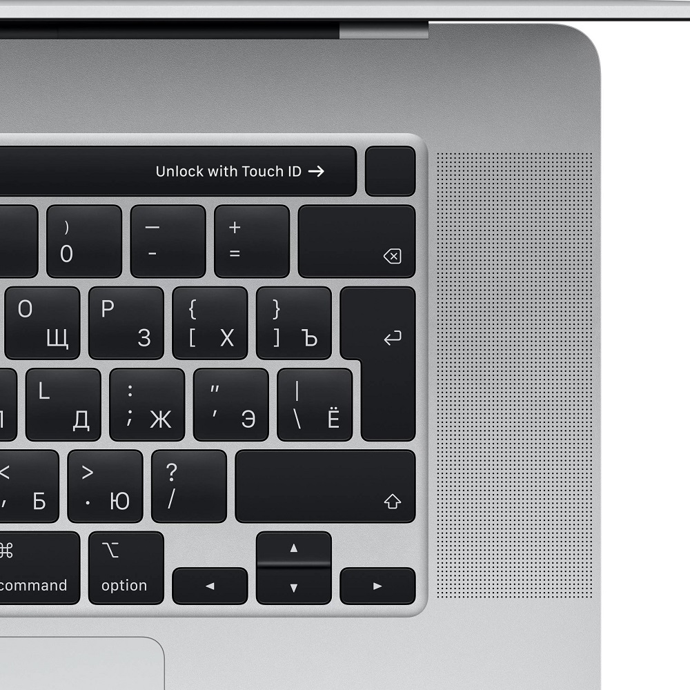 Ноутбук Apple MacBook Pro 16 with Retina display and Touch Bar Late 2019 (Intel Core i9 2300 MHz/16/3072x1920/16GB/1024GB SSD/DVD нет/AMD Radeon Pro 5500M 4GB/Wi-Fi/Bluetooth/macOS) Silver (MVVM2RU/A)