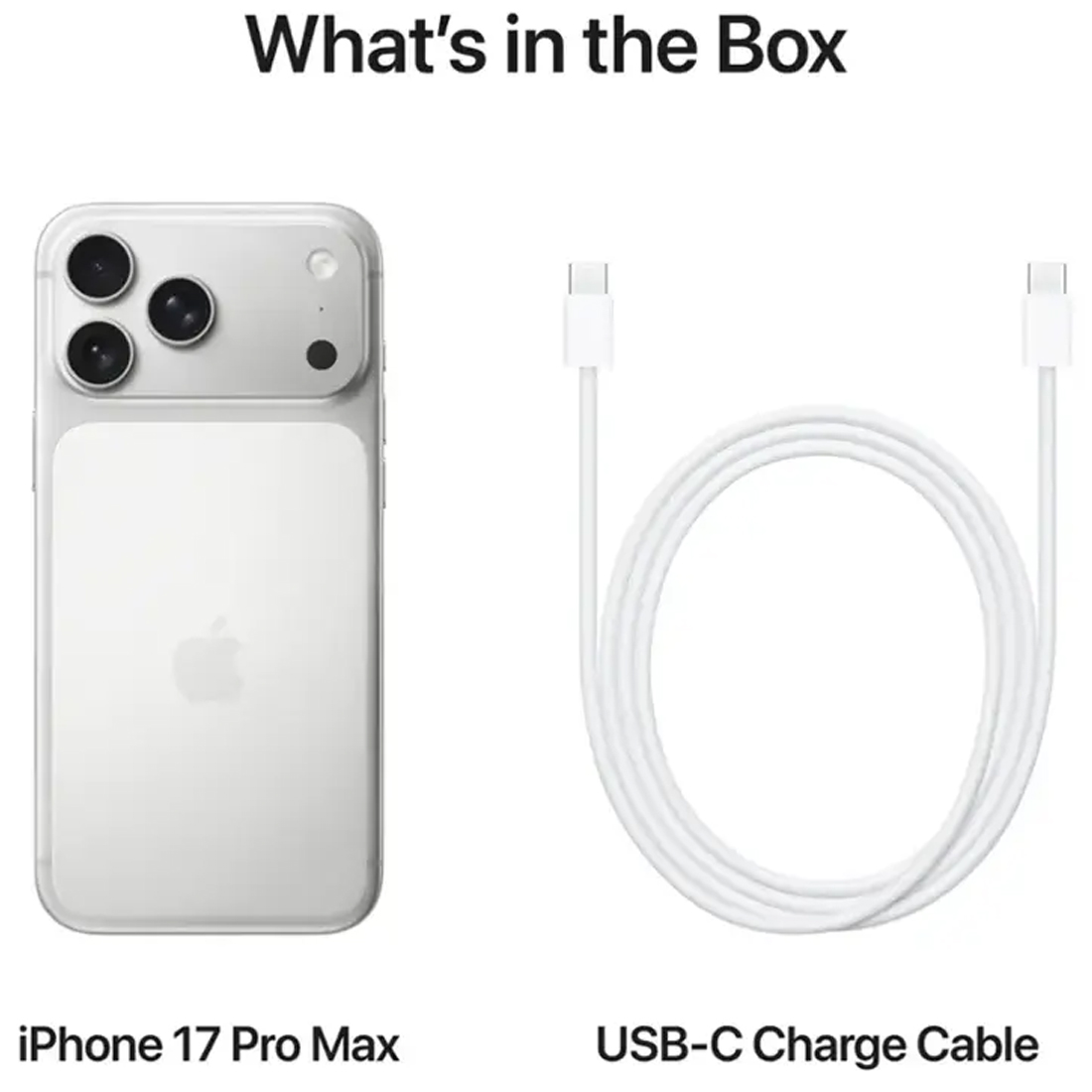 Смартфон Apple iPhone 17 Pro Max 1TB Silver (eSIM)