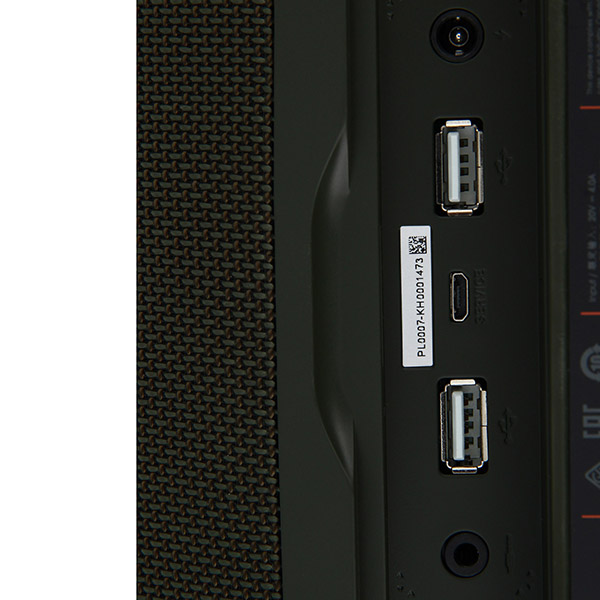 Портативная акустика JBL Boombox Forest Green