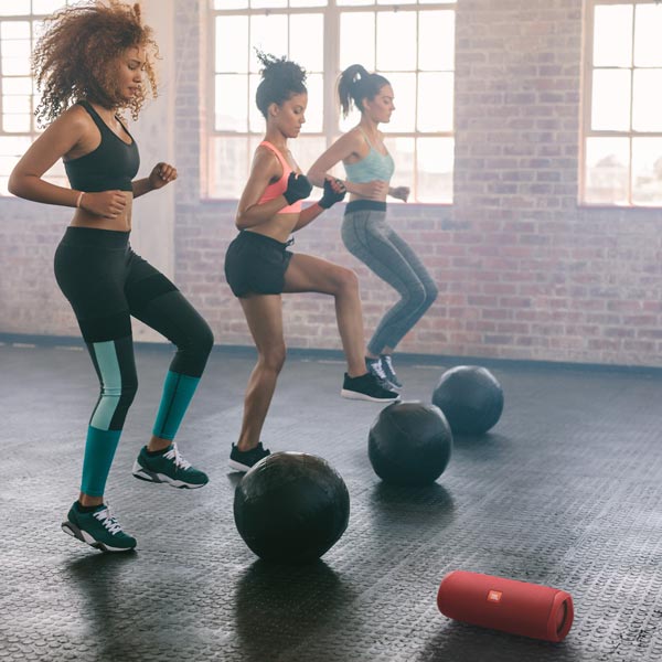 Портативная акустика JBL Flip 5 Red